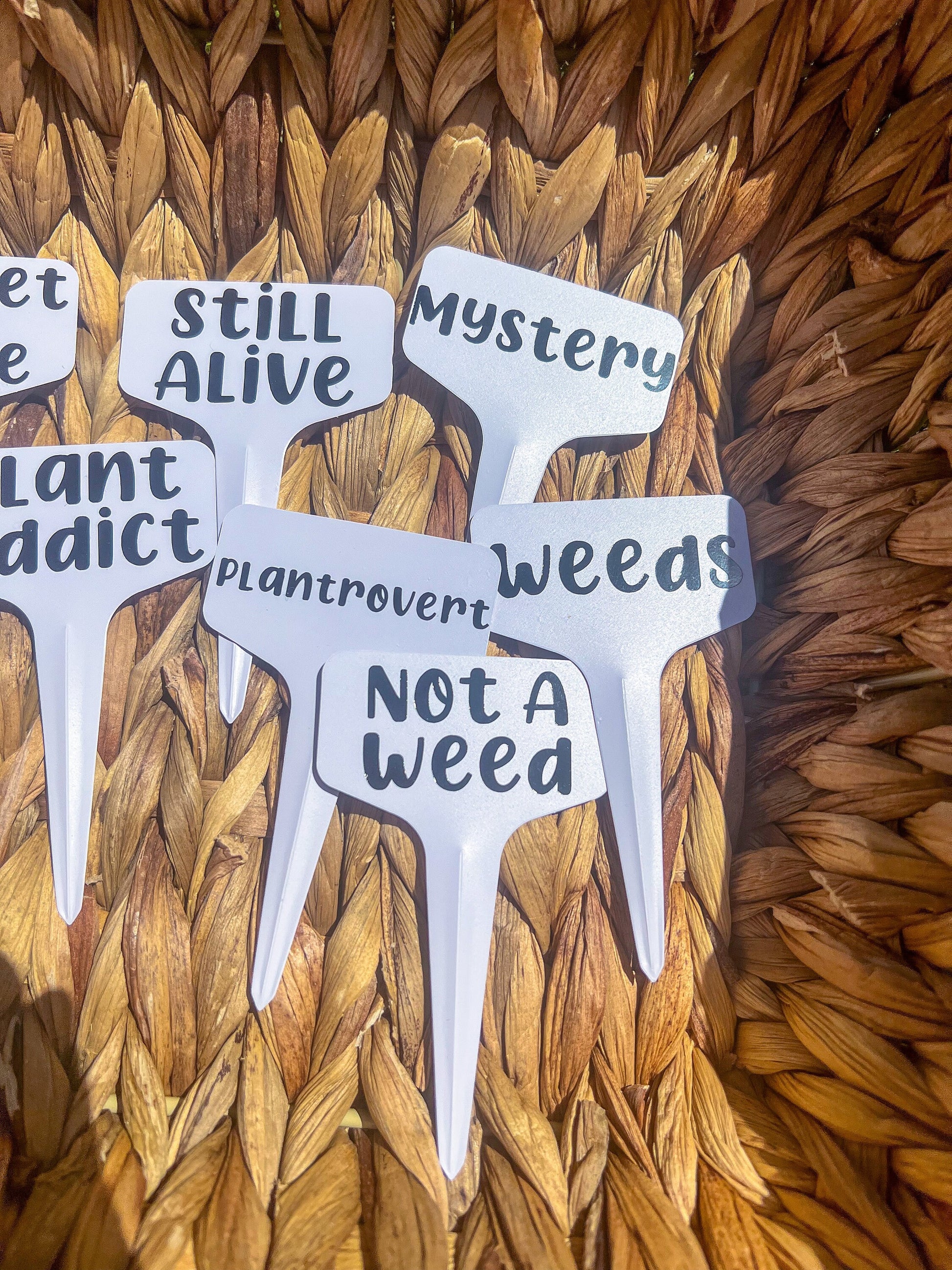 Plant Stakes - Funny Plant Labels - ShopCassiesCrafts