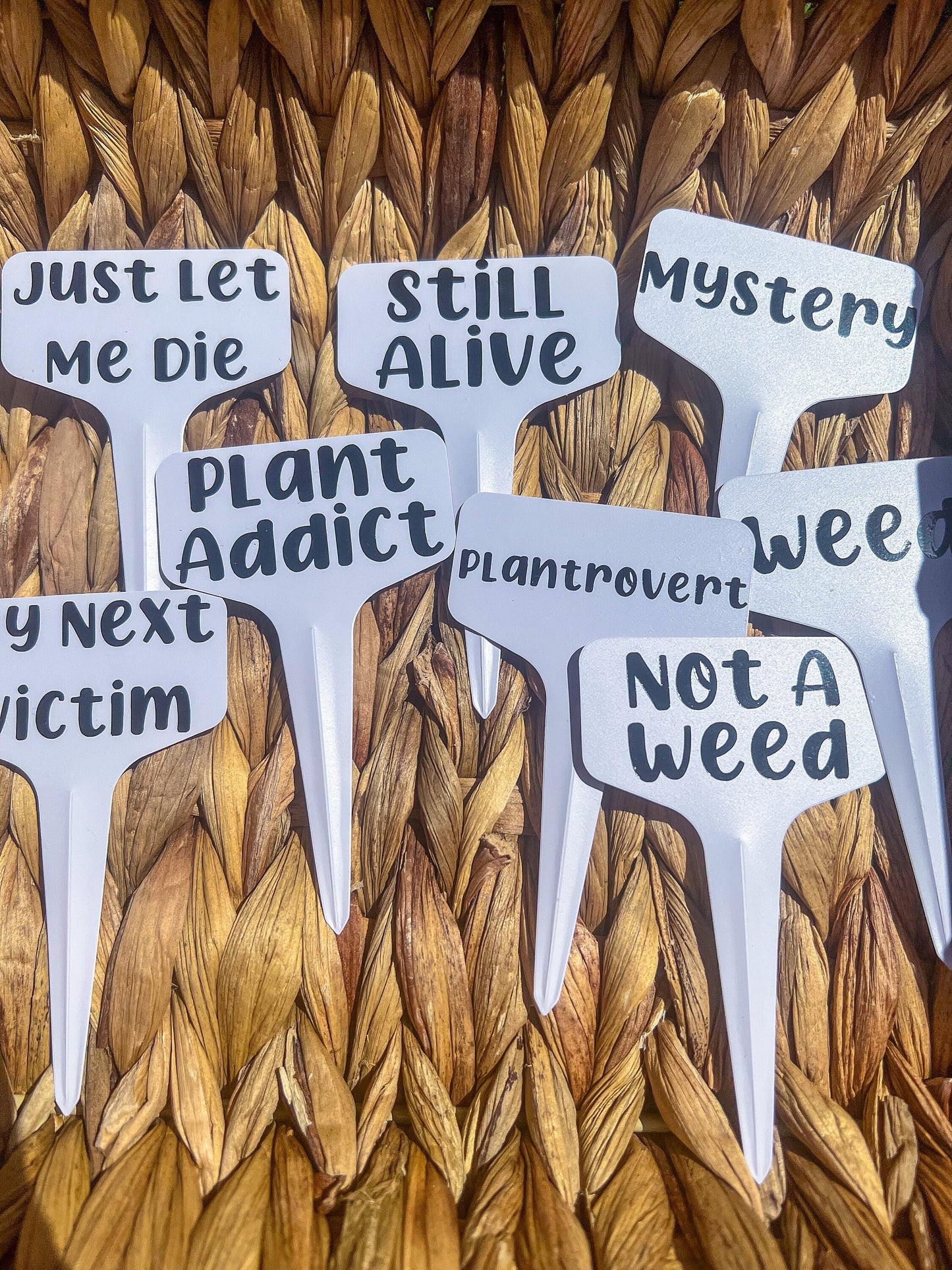 Plant Stakes - Funny Plant Labels - ShopCassiesCrafts