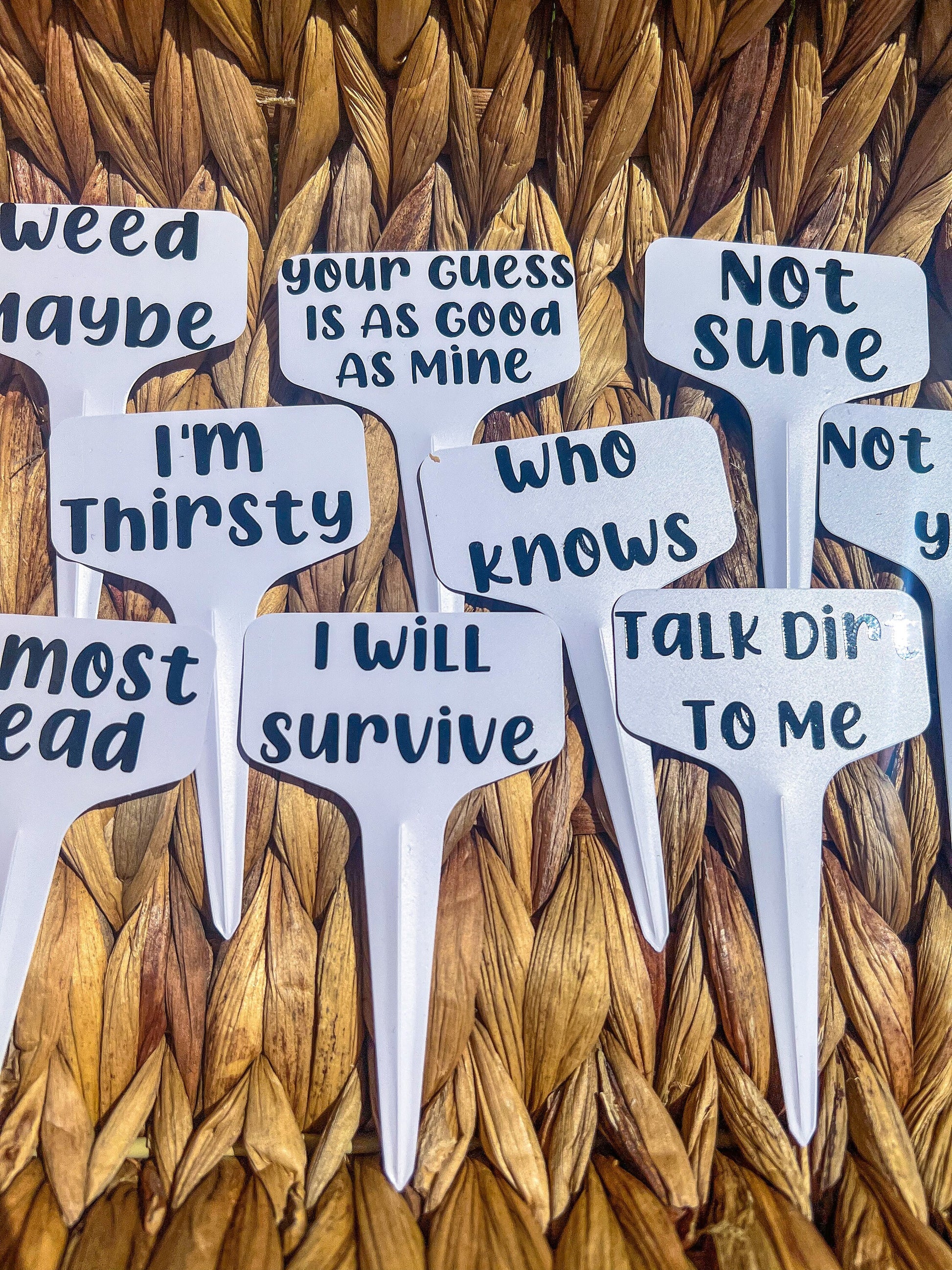 Plant Stakes - Funny Plant Labels - ShopCassiesCrafts