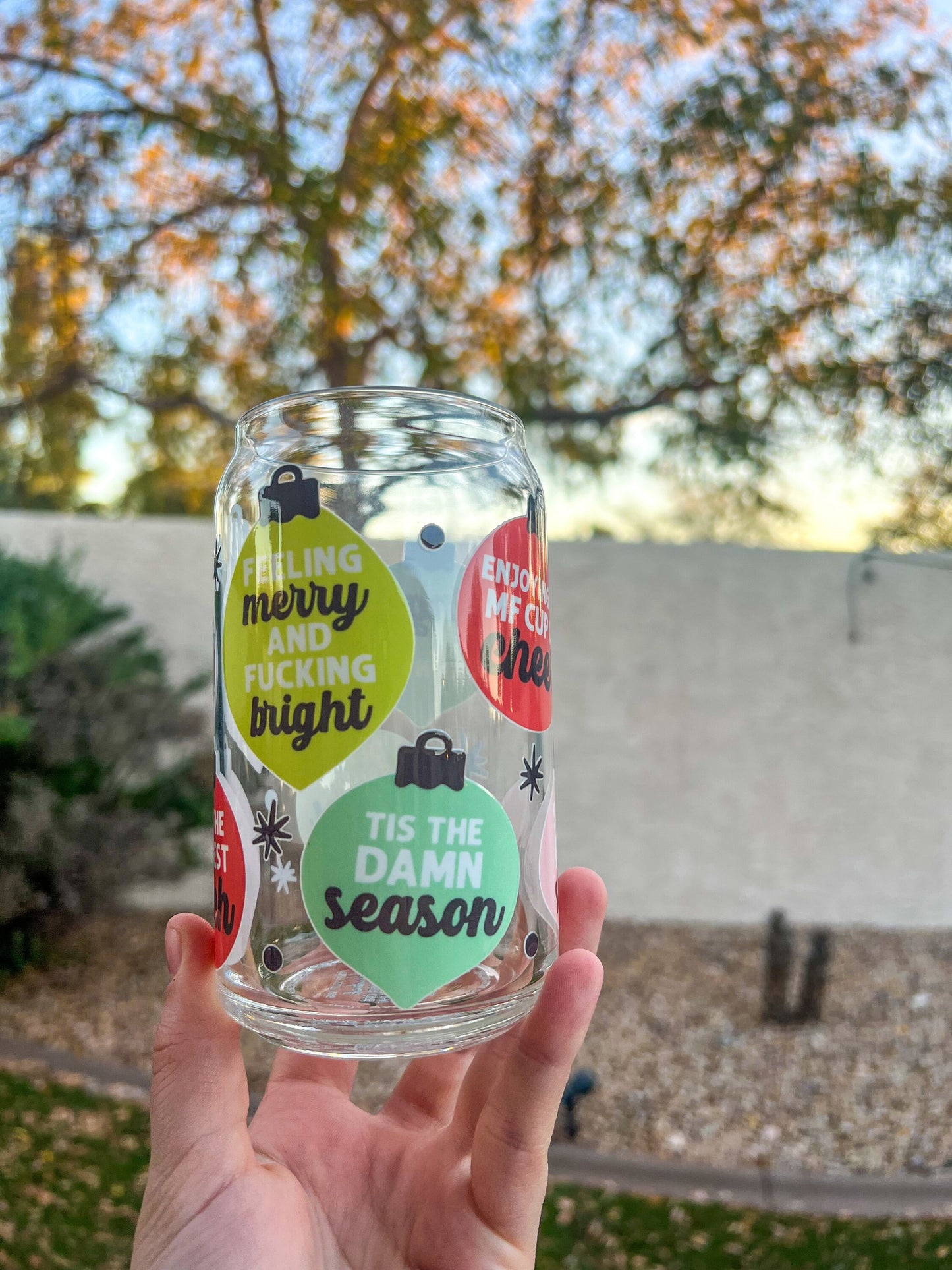 Funny Adult Sayings Ornaments Decorated 16 oz Glass Cup - ShopCassiesCrafts