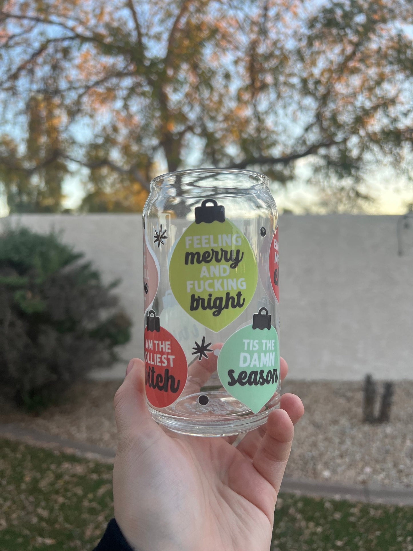 Funny Adult Sayings Ornaments Decorated 16 oz Glass Cup - ShopCassiesCrafts